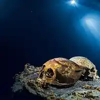 Picture for song ''Deep Water'' by artist 'Jethro Beats'