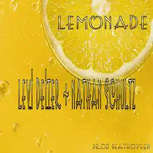Picture for song 'Lemonade PROB Beathoveen' by artist 'Levi Deiter and Nathan Schultz'