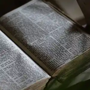 Picture for song 'glimmer' by artist 'mikkniko'