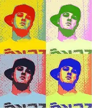 Artist picture