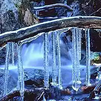 Picture for song 'When the ice breakes up' by artist 'Seagull (FMS)'