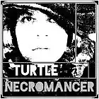 Picture for song 'TRU P8RIOT' by artist 'Turtle Necromancer'