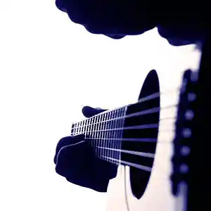 Picture for song 'Did It (Tory Lanez, Guitar)' by artist 'Audio Fiene'