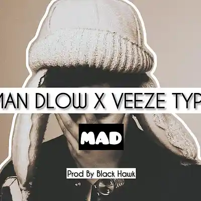 Picture for song 'Bossman Dlow X Veeze Type Beat MAD' by artist 'Black Hawk'