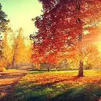 Picture for song 'November (92 BPM)' by artist 'BLKSTAR PRODUCTION'