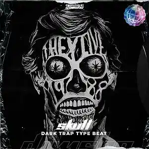 Picture for song 'Skull (Ghostemane Type Beat)' by artist 'Dimsho Beats'