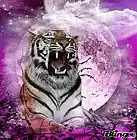Picture for song 'Cata120' by artist 'DJ Bobby Nice'