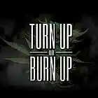 Picture for song 'Turn Up *Hot* ( Free D/L )' by artist 'HoodAnthem Beatz'