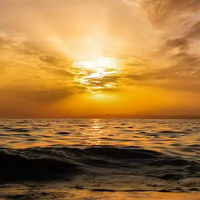 Picture for song 'NEU-MECKLENBURG (NEW IRELAND)' by artist 'Jomisee'