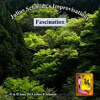Picture for song 'Fascination 4' by artist 'Julius Schmidt'