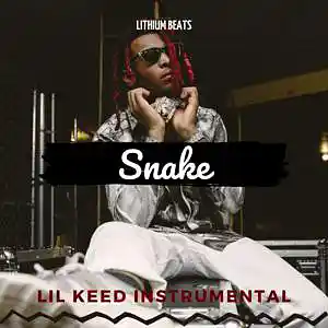 Picture for song 'Lil Keed - Snake (Instrumental)' by artist 'Lithium Beats'