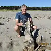 Picture for song 'Sexual Zone' by artist 'NightHawkrock'