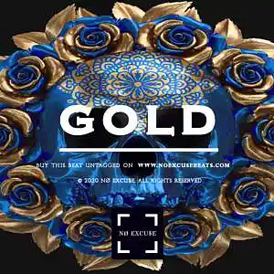 Picture for song 'Tyga "Gold" BUY 2 GET 1 FREE' by artist 'No Excuse Beats'