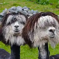 Picture for song 'Breaking ...' by artist 'stefanos grigoriadis'