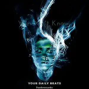 Picture for song 'We Don't Know' by artist 'Your Daily Beats'