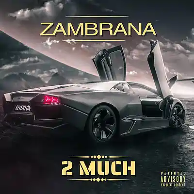 Picture for song '2 Much' by artist 'ZAMBRANA'