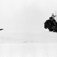 Picture for song 'AxAx' by artist '000000-1'