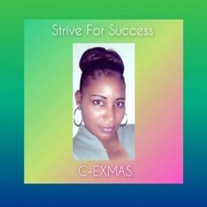 Picture for song 'Strive For Success' by artist 'C-EXMAS'