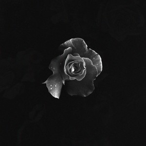 Picture for song 'audi' by artist 'Dylan Graham'