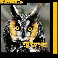 Picture for song 'owl sleep Frogman Beats' by artist 'Frogman beats STore'