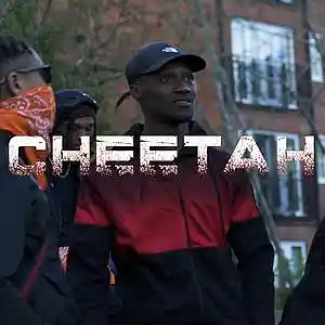 Picture for song 'Cheetah' by artist 'Chris Giotis'