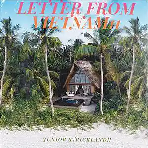 Picture for song 'LETTER FROM VIETNAM' by artist 'JUNIOR STRICKLAND'