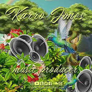 Picture for song 'HUMMINGBIRD' by artist 'KARRO JONES'