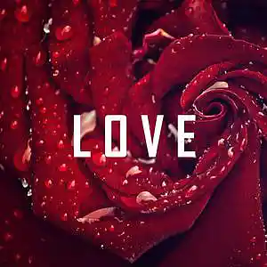 Picture for song 'Love - (Buy 2 Get 2 Free)' by artist 'KMBeatsOfficial'