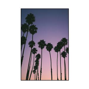 Picture for song 'Rolling (R&B x Trapsoul Type Beat)' by artist 'krs.kv'