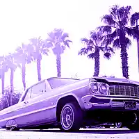 Picture for song '(NEW) Southern Balifornia pt 1 ' by artist 'LEXI BANKS'