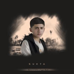Picture for song 'Sueta' by artist 'musiculll'