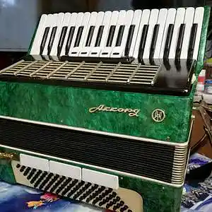 Picture for song 'Accordion (demo)' by artist 'Niga (Klintsevich Nikolay Sergeevich)'
