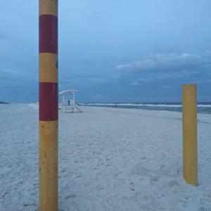 Picture for song 'Working On My Tan' by artist 'paul gorman and the hypnotist collectors'