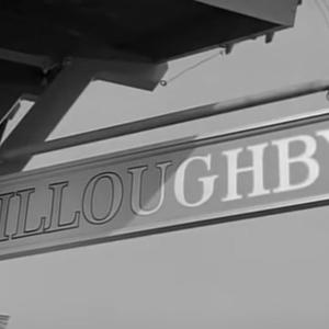 Picture for song 'Next Stop Willoughby' by artist 'Pete Moss and the Weed Wackers'
