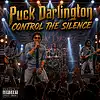 Picture for song 'Puck Darlington - Control the Silence' by artist 'Puck Darlington (studio48)'
