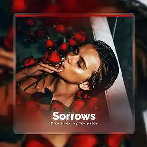 Picture for song 'Sorrows - Sad Guitar Type Beat' by artist 'TEDYSTER'