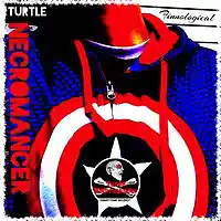 Picture for song 'Housed' by artist 'Turtle Necromancer'