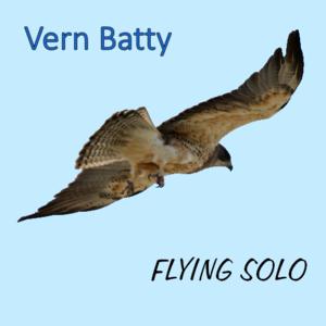 Picture for song 'Flying Solo' by artist 'Vern Batty'
