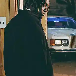 Picture for song 'Woodside - Lemonade' by artist 'Woodside Beatz'