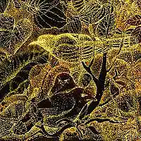 Picture for song 'Paradise' by artist 'Black Chalk'