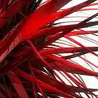 Picture for song 'Insomnia' by artist 'Brett Larson'