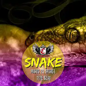 Picture for song 'SNAKE (Migos 21 Savage type beat instrumental)' by artist 'Chorderline'