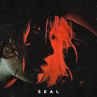 Picture for song 'Seal' by artist 'Erawy'