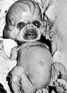 Picture for song 'LIKE IT' by artist 'Salmonella'