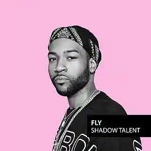 Picture for song '"Fly" Partynextdoor x NF Type Beat Smooth/Chill Rn' by artist 'Shadow Talent'