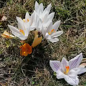 Picture for song 'it's getting better now' by artist 'Stefan Mack'