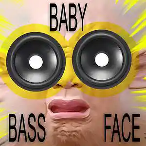 Picture for song 'Baby Bass Face' by artist 'XL73'