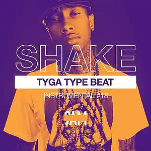 Picture for song '"SHAKE" Tyga Type Beat |Hip-Hip Club Banger' by artist 'Prod. by 9AM'
