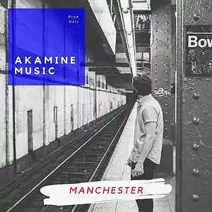 Picture for song 'manchester (vince staples x earthgang)' by artist 'Akamine'