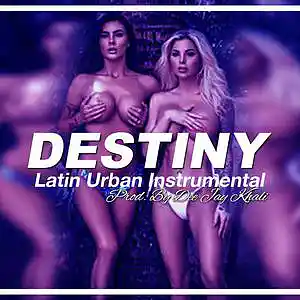 Picture for song 'Destiny' by artist 'Khali Productor'